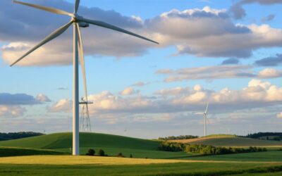 Czy elektrownie wiatrowe się opłacają w obecnych warunkach rynkowych?