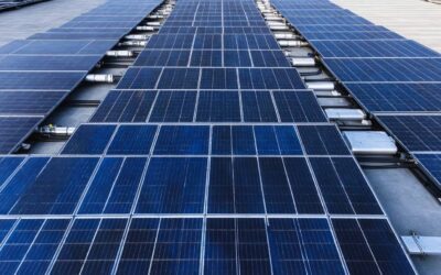 Ile paneli znajdziemy w standardowym opakowaniu?