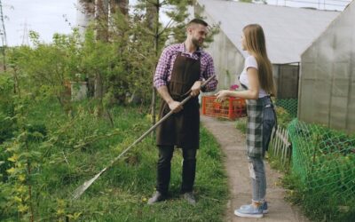 Na jakiej działce można postawić halę?