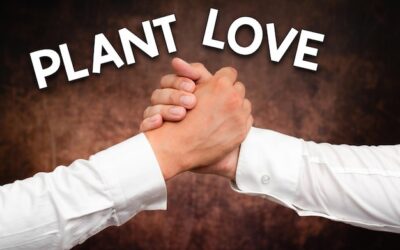 Co tniemy w lutym w ogrodzie?