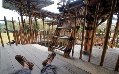 Jak samodzielnie zbudować altanę ogrodową i na co zwrócić uwagę?