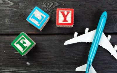 Iata dgr co to oznacza w transporcie lotniczym?