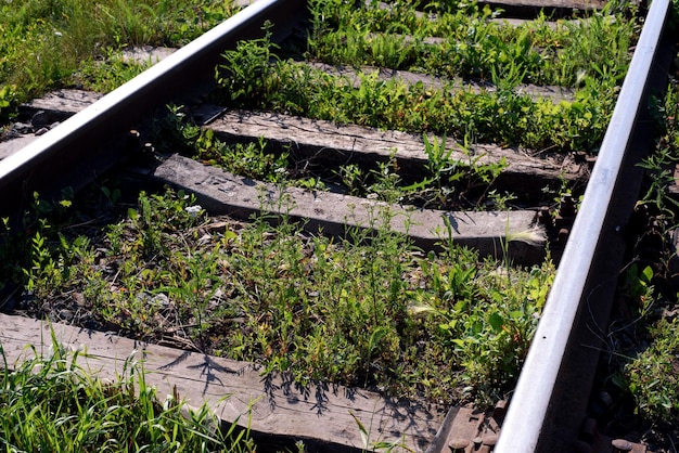 Jak usunąć mech z tarasu bez użycia chemii?