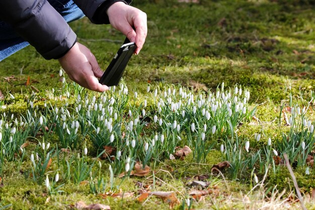 Jak zlikwidować chwasty bez użycia chemii?