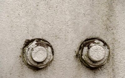 Od czego jest grzyb na ścianach i jak go uniknąć?