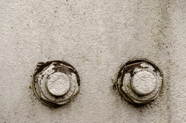 Od czego jest grzyb na ścianach i jak go uniknąć?