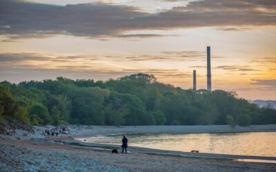 Ile elektrowni jest w Polsce i jakie mają znaczenie dla energetyki?
