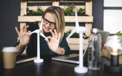 Ile kosztuje wiatrak na prąd i od czego zależy cena?