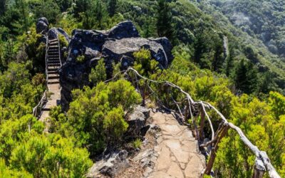 Ile metrów ma zapora na Solinie?