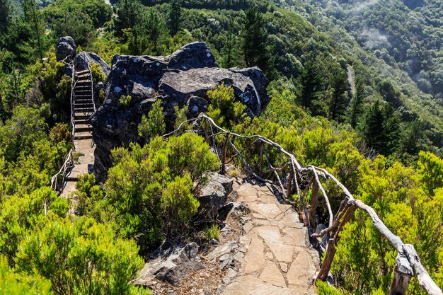 Ile metrów ma zapora na Solinie?