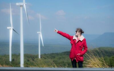 Jak zbudować małą elektrownię wiatrową na własną działkę?