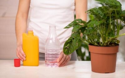 Jak zrobić naturalne środki czystości w domu?