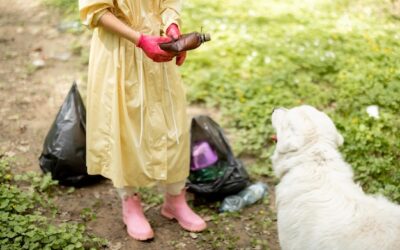 Odpady PET co to jest i dlaczego są tak ważne dla środowiska?