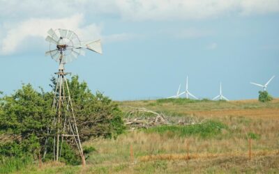 Po co są wiatraki na polu i jaką pełnią rolę?