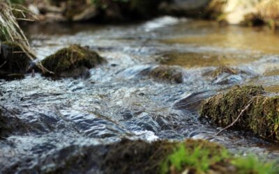 Systemy retencyjne w praktyce: progi, zastawki i kontrola spływu