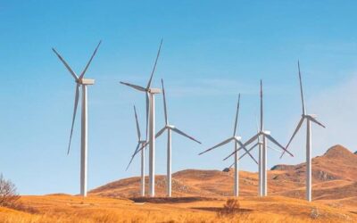 Jak wygląda elektrownia wiatrowa z bliska?