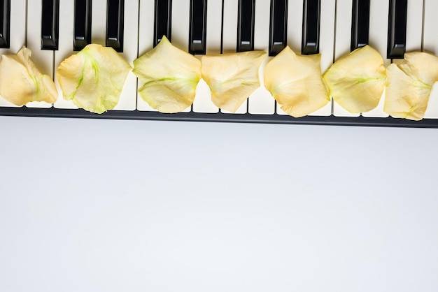 Od czego zależy cena piany pur czy wełny?