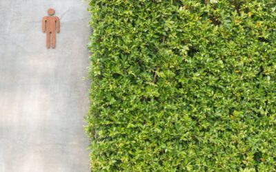 Sanitariaty w terenie: praktyczne rozwiązania na każdą kieszeń