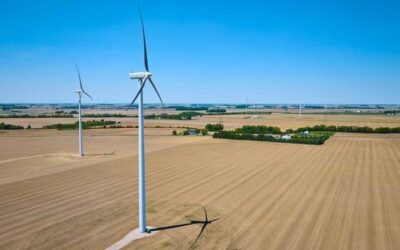 Po co są wiatraki na polu i jakie mają znaczenie dla rolnictwa?