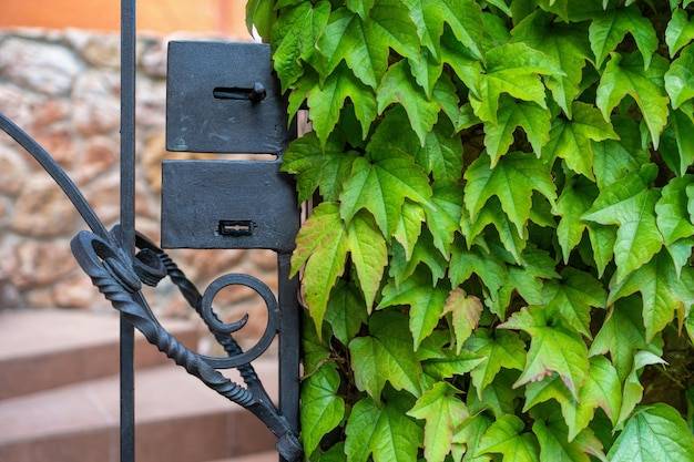 Jaki przewód do bramy automatycznej sprawdzi się w codziennym użytkowaniu?