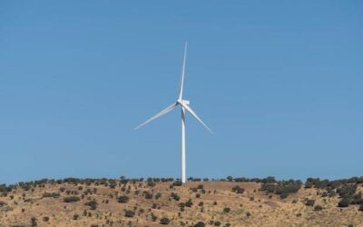 Jaki wiatrak bez pozwolenia można postawić na swojej działce?