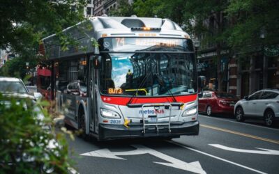 Ile kosztuje bus do Belgii?