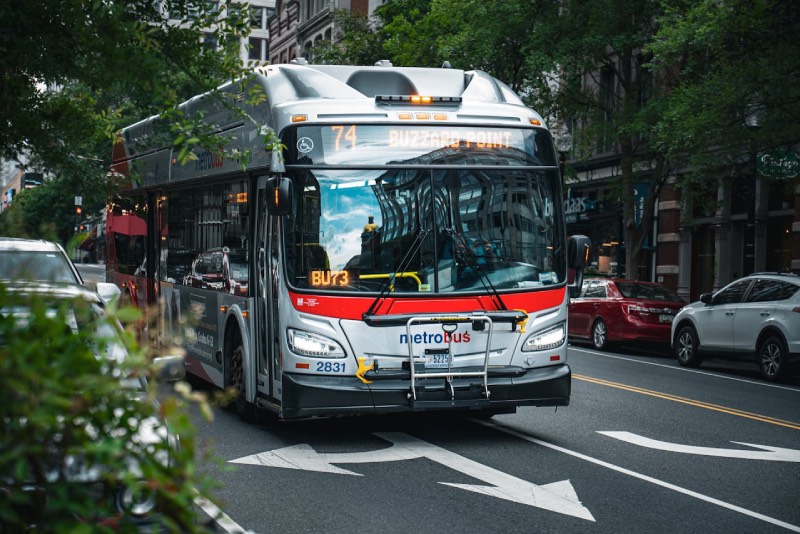 Ile kosztuje bus do Belgii?