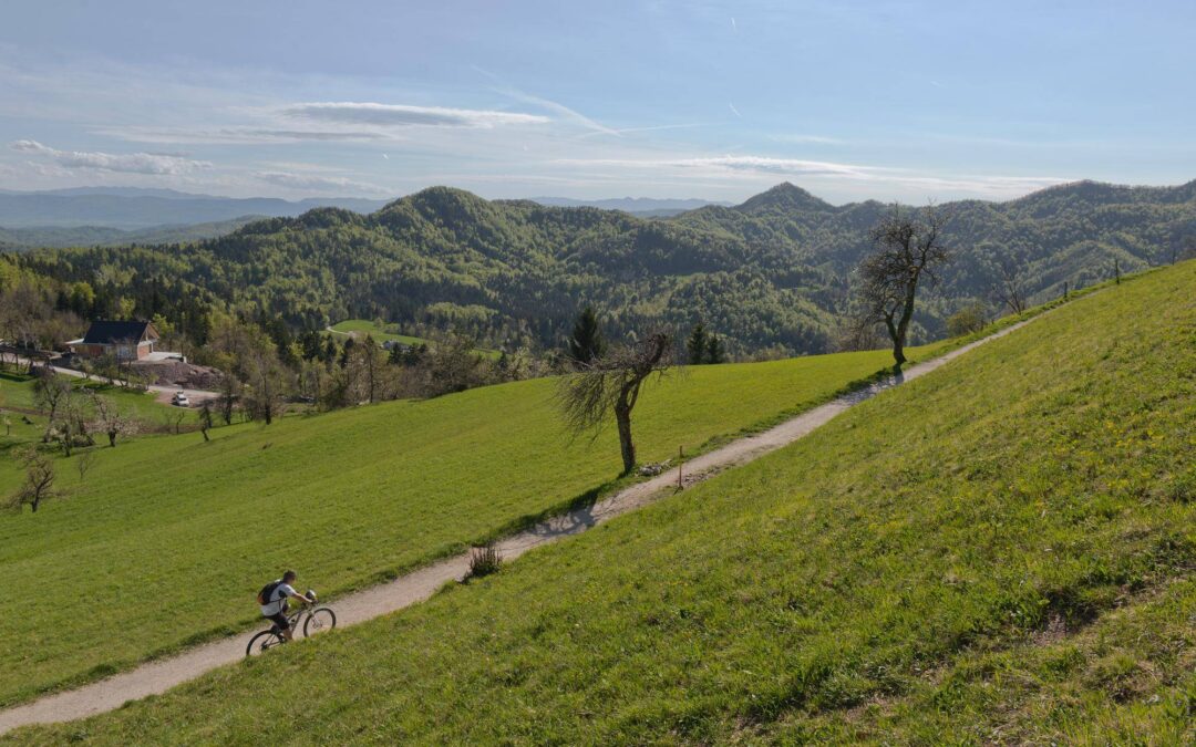 Trasa Velo Czorsztyn ile kilometrów liczy naprawdę?