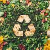 Na czym polega recykling organiczny w codziennym życiu?