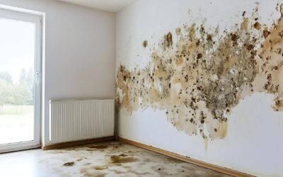 Jak pozbyć się grzyba na suficie i uniknąć jego powrotu?